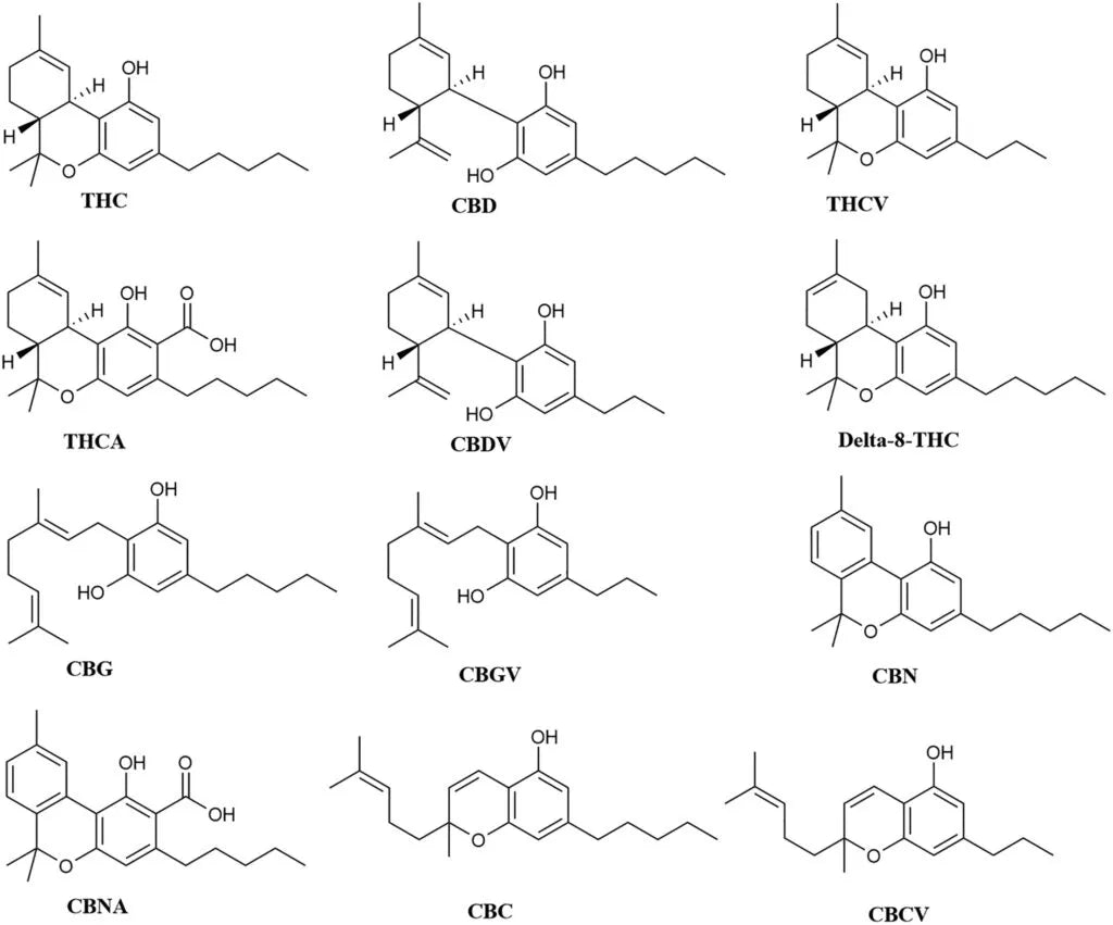 What Cannabinoids Are There & Does It Stop At 83?