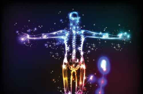 Explaining the Endocannabinoid System