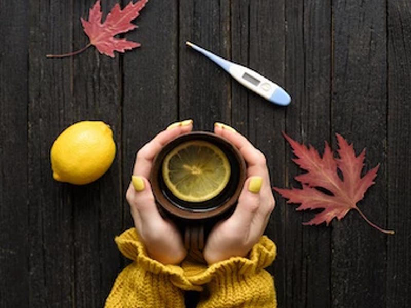 Tips To Stay Healthy During Cold and Flu Season