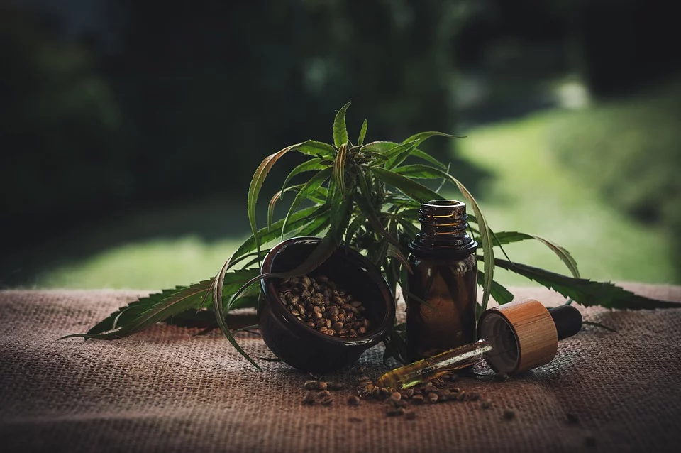 CBD oil and hemp