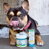 CBD Oil Drops For Pets – Medium Breed 500 MG