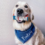 CBD Oil Drops For Pets- Large Breed 800 MG