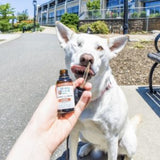 CBD Oil Drops For Pets- Large Breed 800 MG