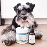 CBD Oil Drops For Pets – Medium Breed 500 MG