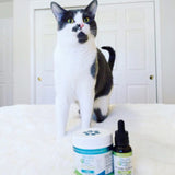 CBD Oil Drops for Pets- Small Breed 200 MG