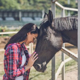 CBD Hemp Oil Drops For Horses – Horse Tincture 1000 MG